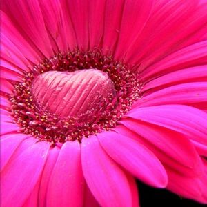 Meet your Posher, Audra